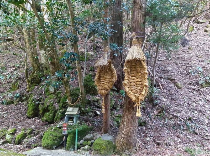 清瀧神社,兵庫県豊岡市日高町田ノ口755