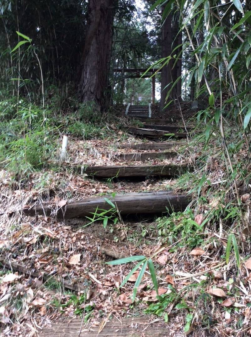 太神社,山梨県富士吉田市向原４丁目８−８