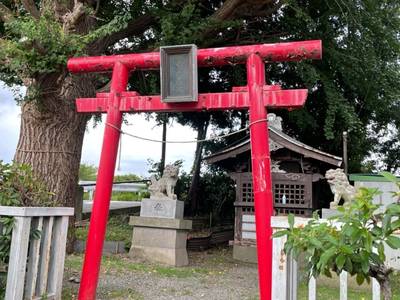 厚木金刀比羅宮,見どころ,you