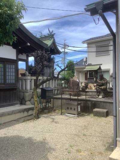 天神社  (黒野天神社),見どころ,桜の花見より御朱印好き
