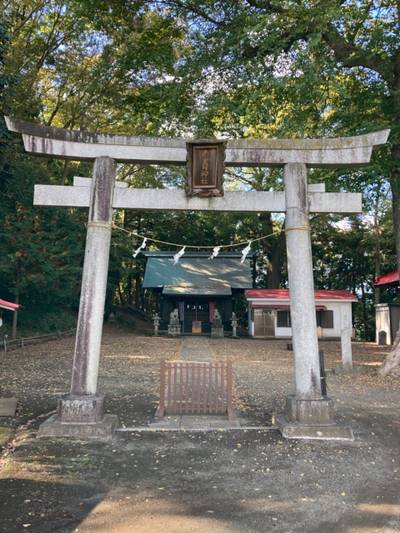 南金目神社,見どころ,You