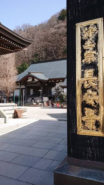 長安寺,見どころ,ながまつ・西源寺Jr.