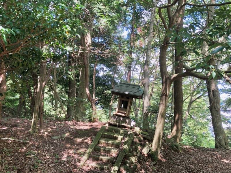 臼井城