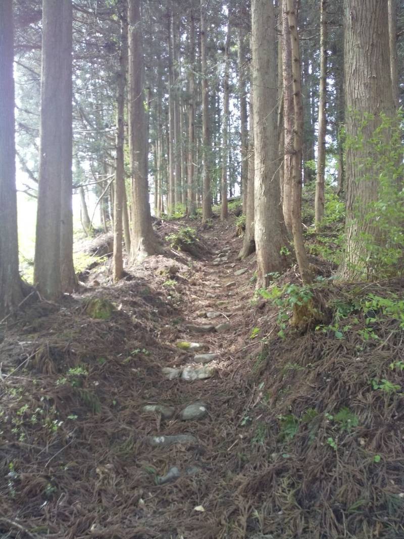 山神社  (金山町有屋),山形県最上郡金山町有屋１５９