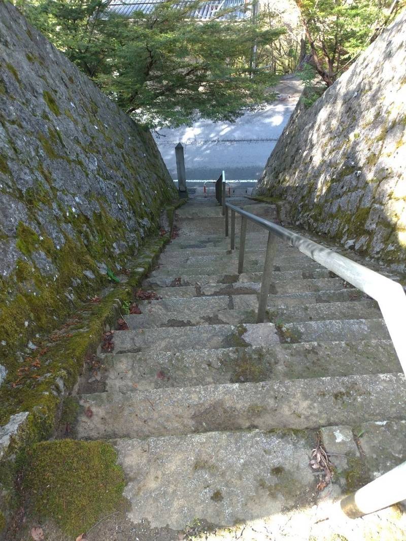 棲雲寺  (栖雲寺)の御朱印