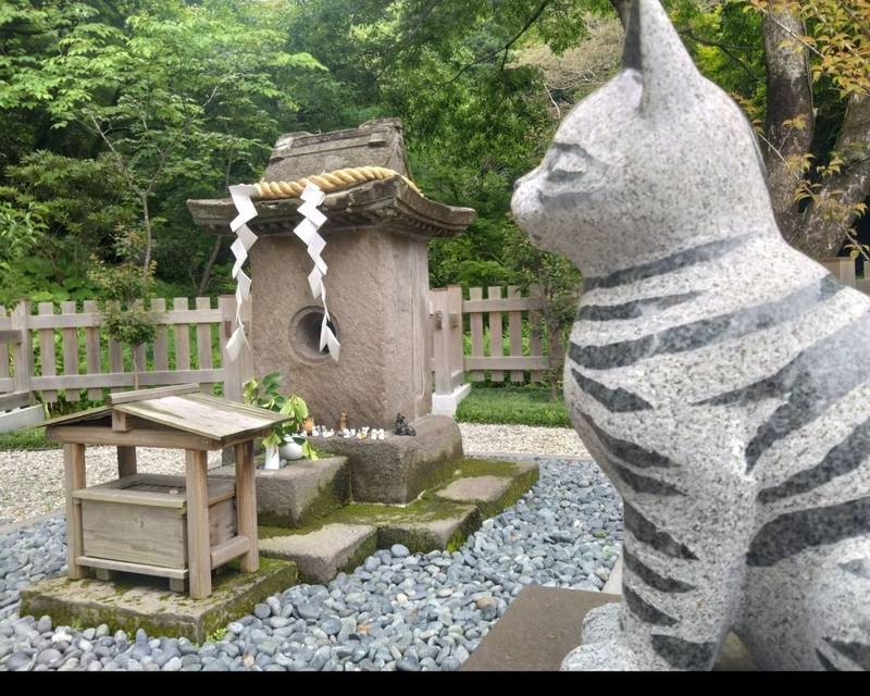 猫神神社         (猫神社),鹿児島県鹿児島市吉野町9700-1