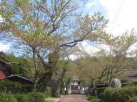 京都府の御朱印・神社・お寺 人気ランキング2025 (1026位～1050位)