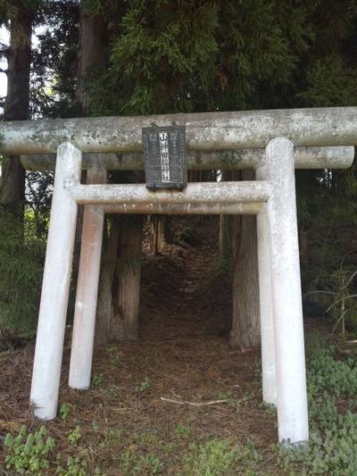 山神社  (金山町有屋),見どころ,つち