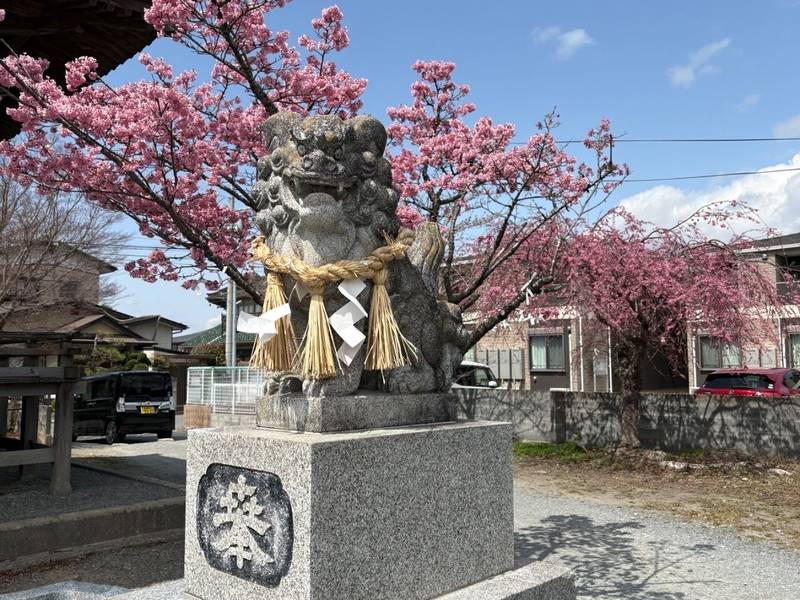 高玉神社,宮城県石巻市蛇田上中埣88