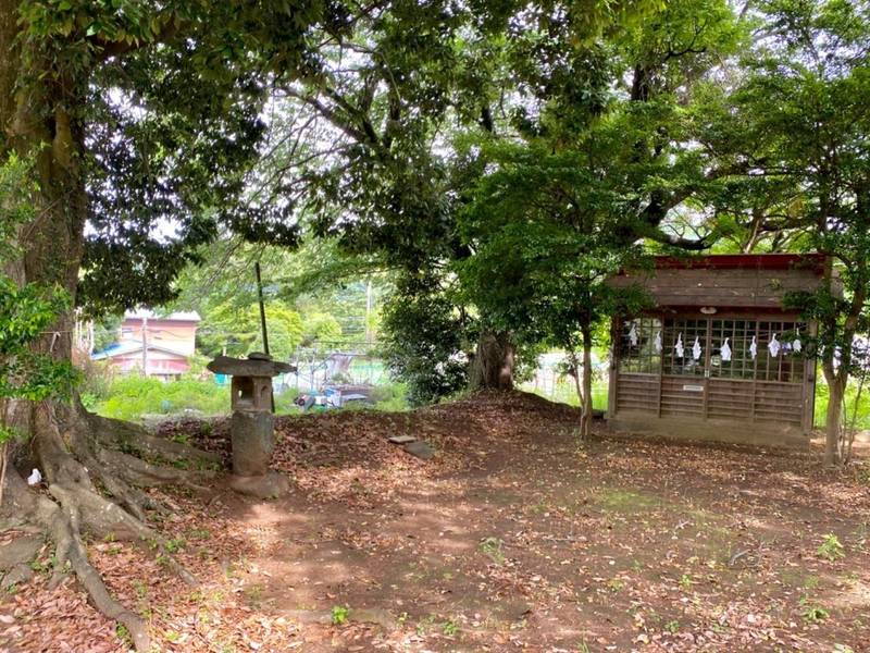 長竹山王神社,神奈川県相模原市緑区長竹1790