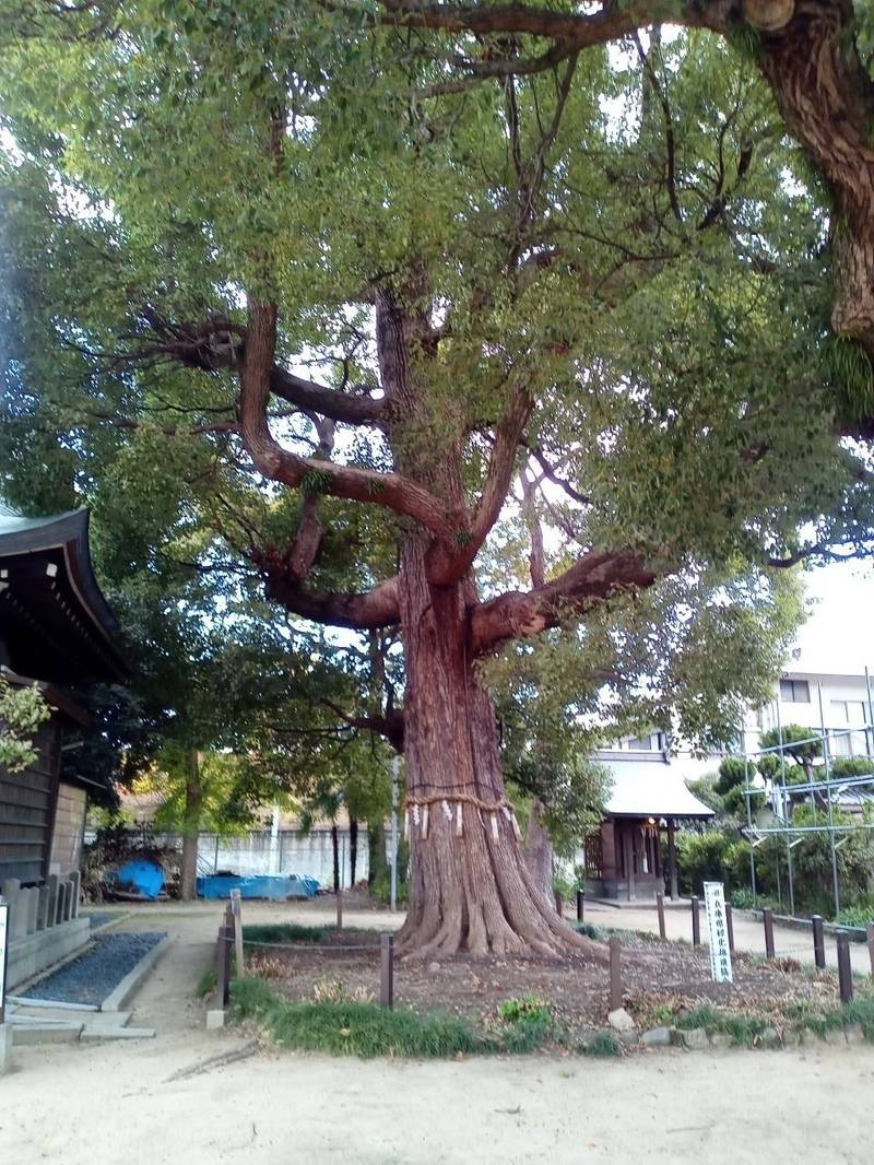 西素盞嗚神社,兵庫県尼崎市大庄西町1-41-25