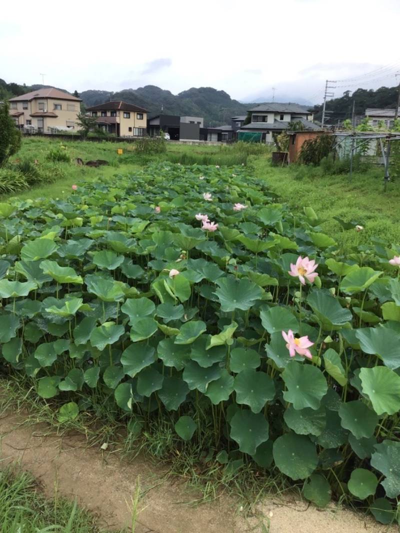 田中神社,和歌山県西牟婁郡上富田町岡403