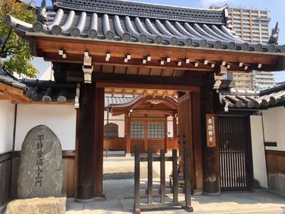 廣徳寺,見どころ,maki
