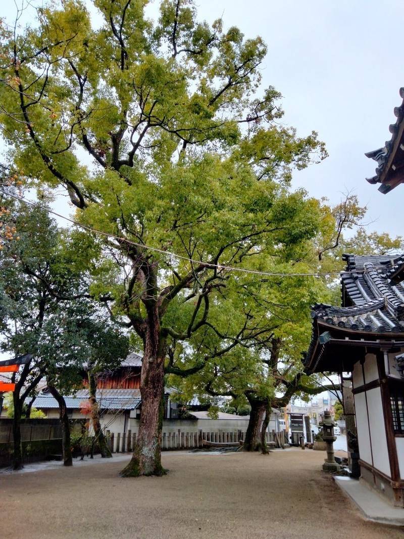 三十八神社,大阪府八尾市福万寺町４－１３