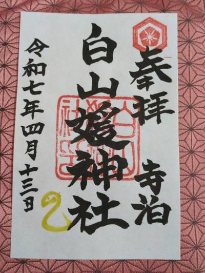白山媛神社,御朱印,中央区のシティーボーイ