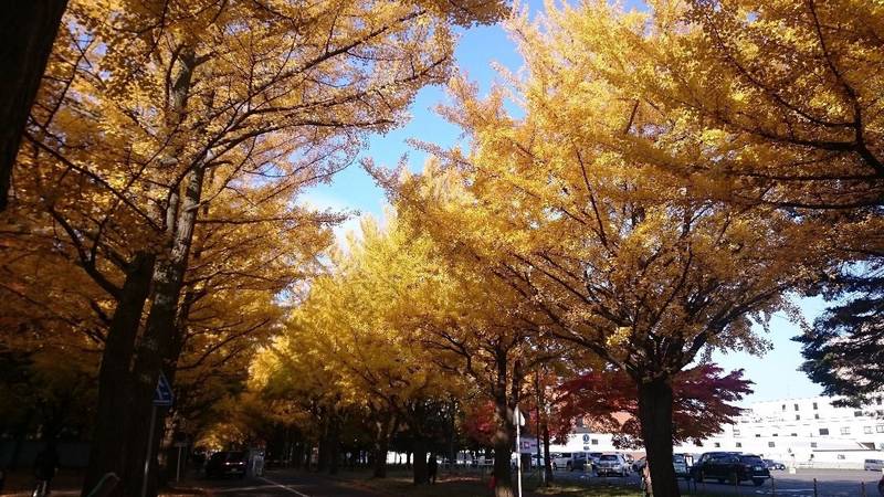 札幌諏訪神社 札幌市/北海道 の周辺情報。神社から... by えぬ Omairi(おまいり)