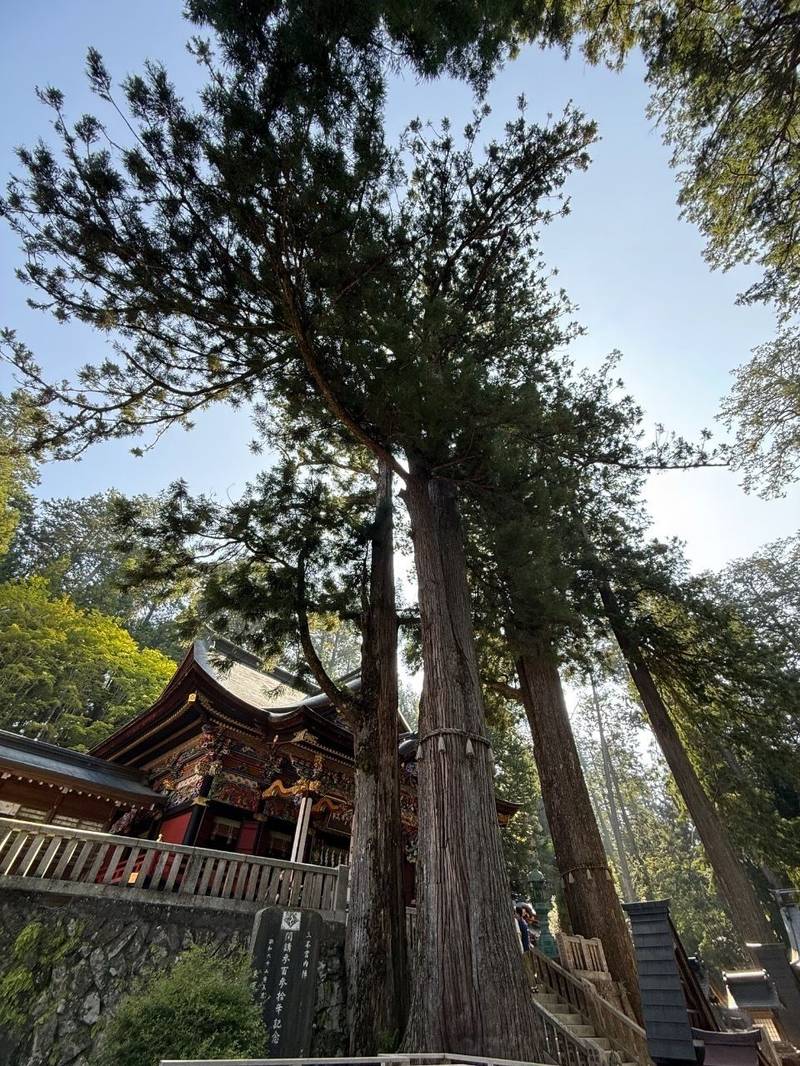 三峯神社,埼玉県秩父市三峰298-1