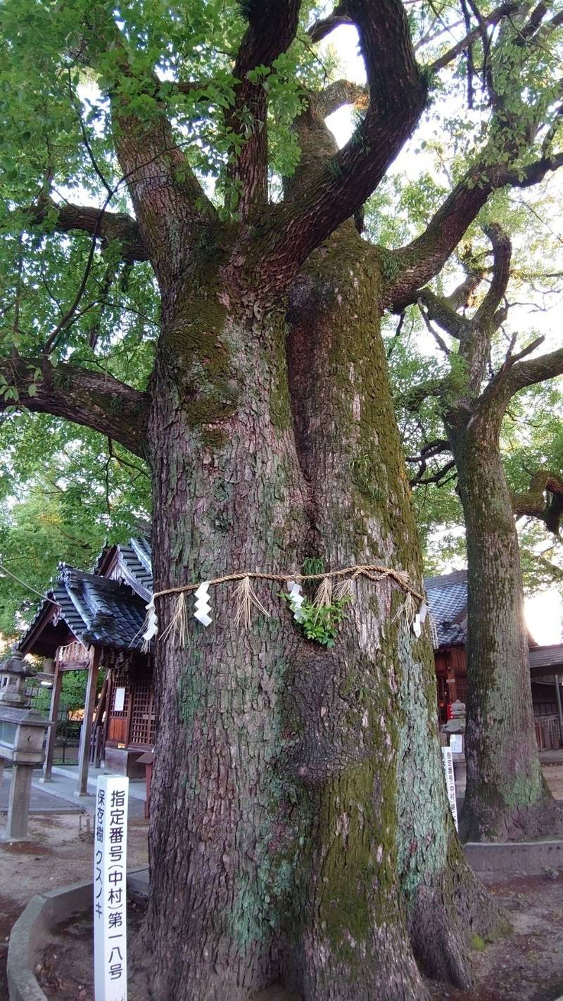 大秋八幡社,愛知県名古屋市中村区大秋町２丁目８１