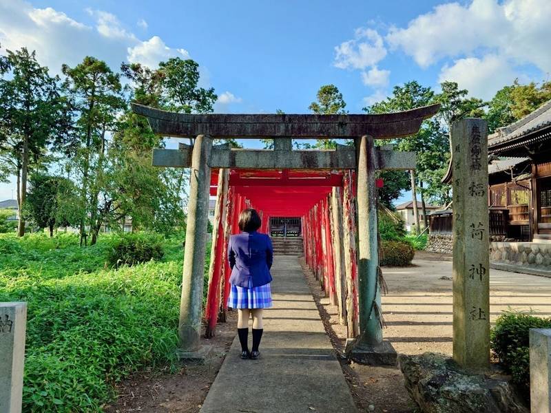 日吉神社    (那加新加納町),岐阜県各務原市那加新加納町2225