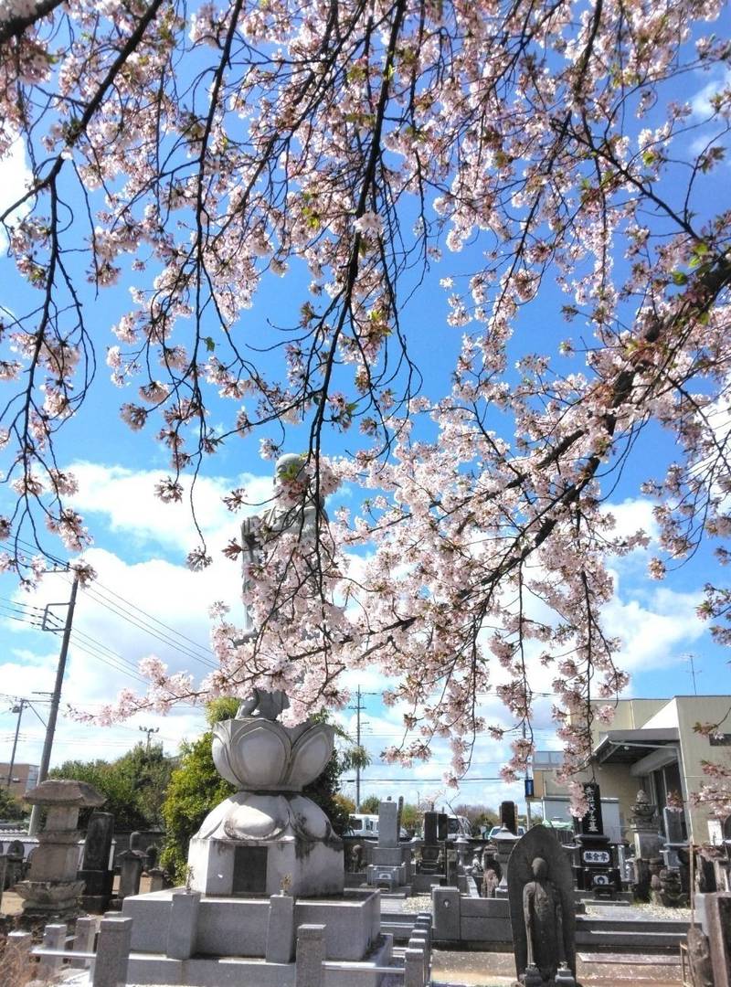 清水山 無量寿院 浄林寺,埼玉県羽生市下川崎５３６