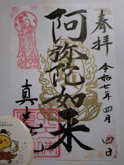 真光院,御朱印,にゃーこ