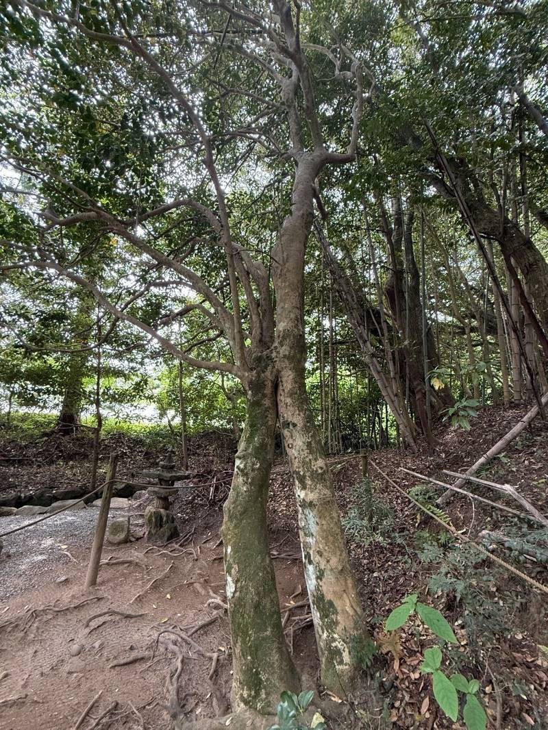 八重垣神社,島根県松江市佐草町227
