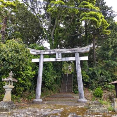 比良神社,見どころ,まちゃき