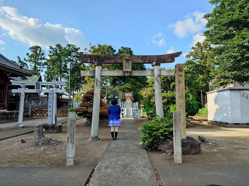 日吉神社    (那加新加納町),岐阜県各務原市那加新加納町2225