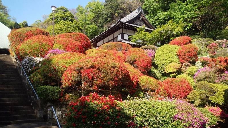 等覚院          (神木不動尊),神奈川県川崎市宮前区神木本町1-8-1