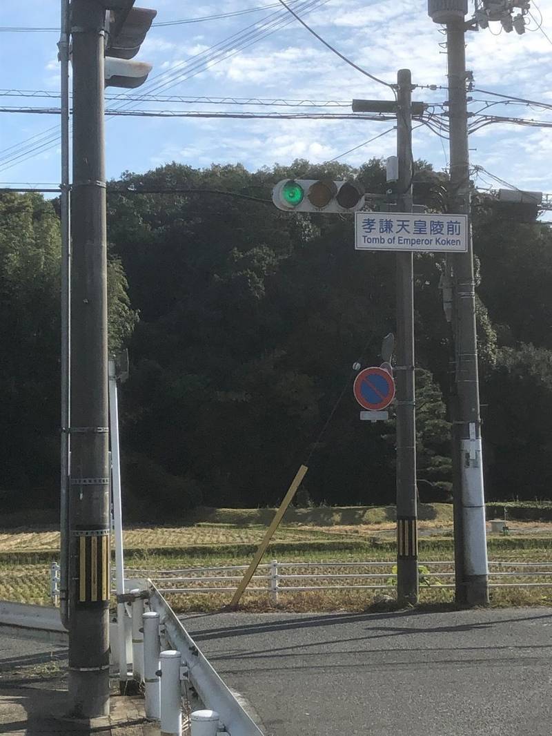 高野陵 (稱德天皇),奈良県奈良市山陵町130