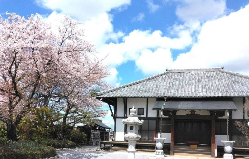 清水山 無量寿院 浄林寺,埼玉県羽生市下川崎５３６