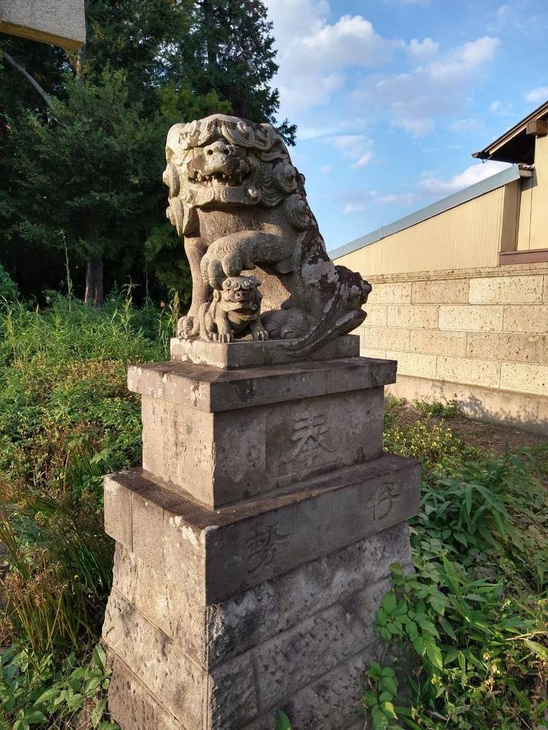 常世岐姫神社  (渡柳),埼玉県行田市渡柳１４７９