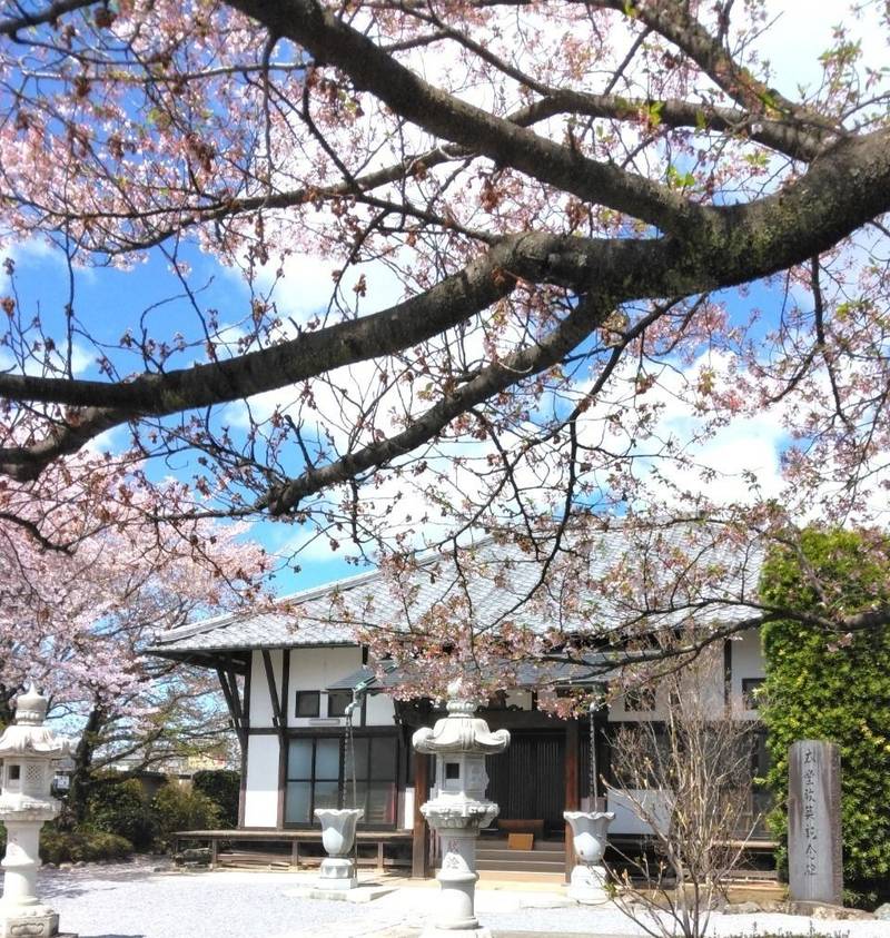 清水山 無量寿院 浄林寺,埼玉県羽生市下川崎５３６