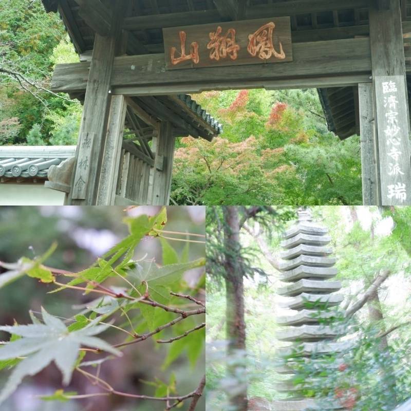 瑞巌寺,徳島県徳島市東山手町3-18