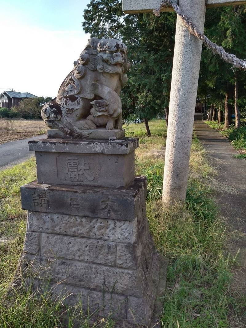 常世岐姫神社  (渡柳),埼玉県行田市渡柳１４７９