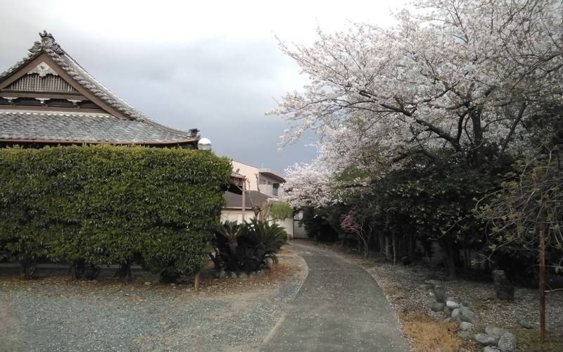 行泉寺,静岡県磐田市見付3080-2