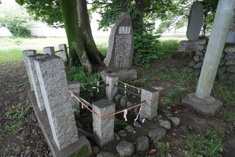 田中神社,埼玉県熊谷市三ヶ尻671
