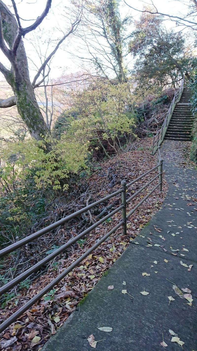 胞姫神社 柏崎市 新潟県 Omairi おまいり