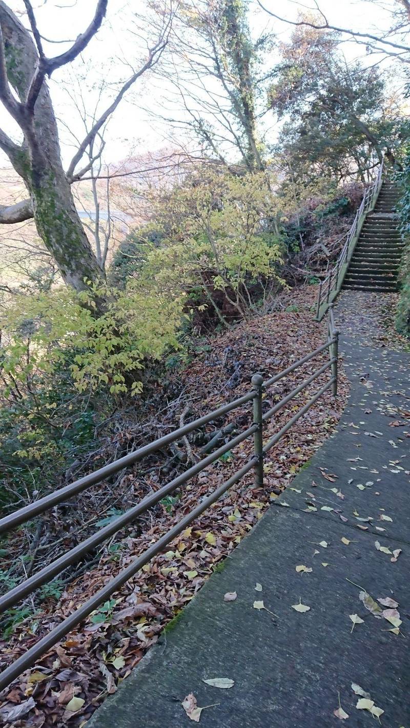 胞姫神社 柏崎市 新潟県 Omairi おまいり 胞姫神社 柏崎市 新潟県 Omairi おまいり