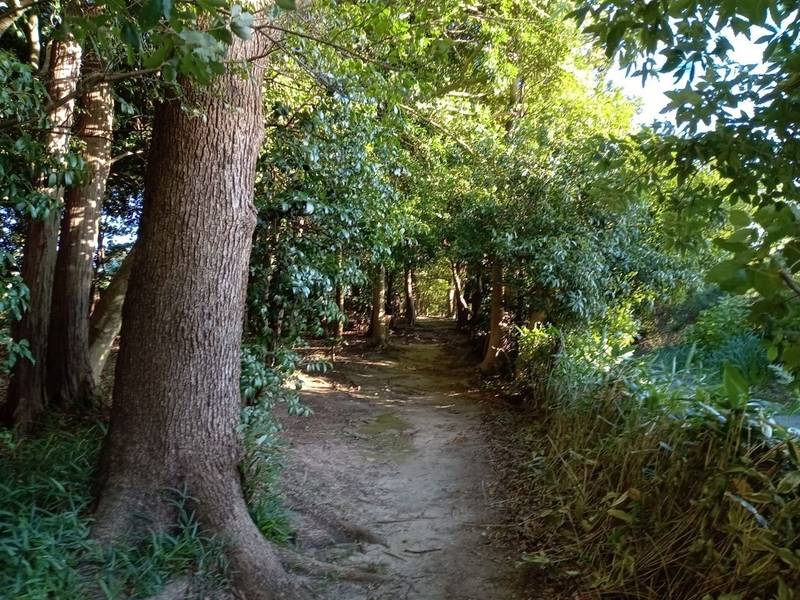 祖母神社,愛知県刈谷市東境町町屋52-1