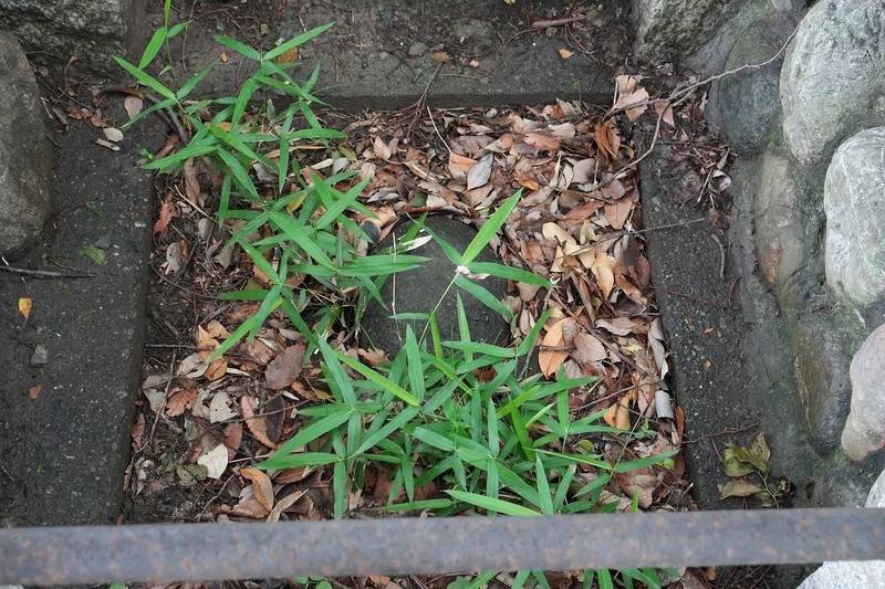 田中神社,埼玉県熊谷市三ヶ尻671