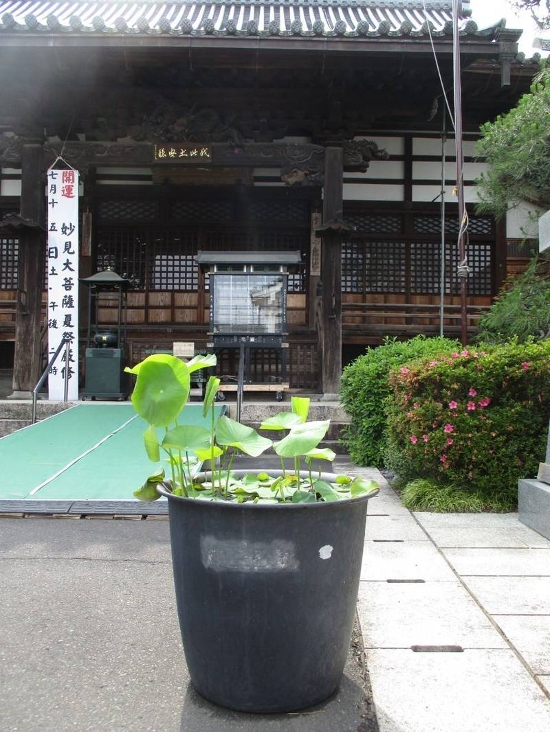 立正寺,兵庫県豊岡市中央町９－２０