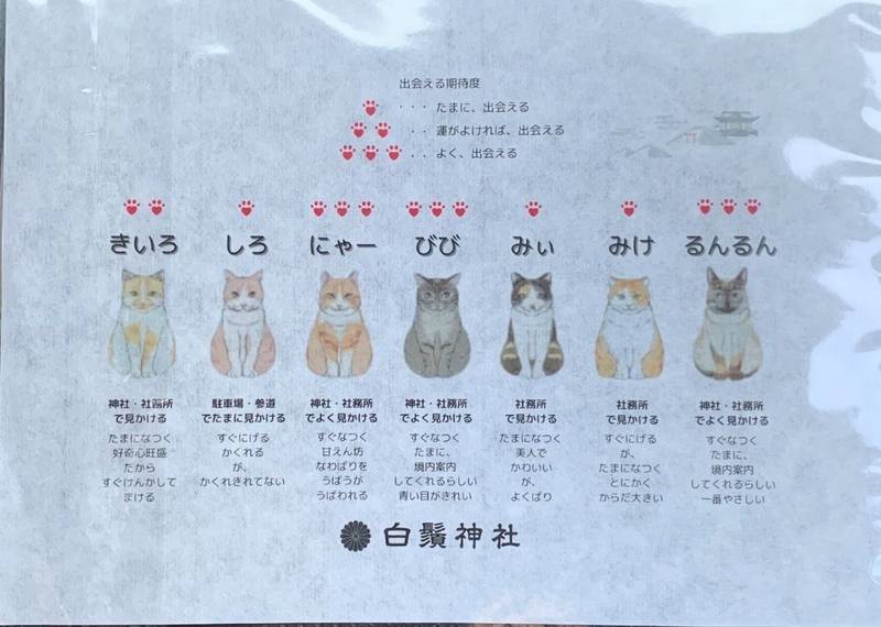 白鬚神社,宮崎県児湯郡川南町川南1987