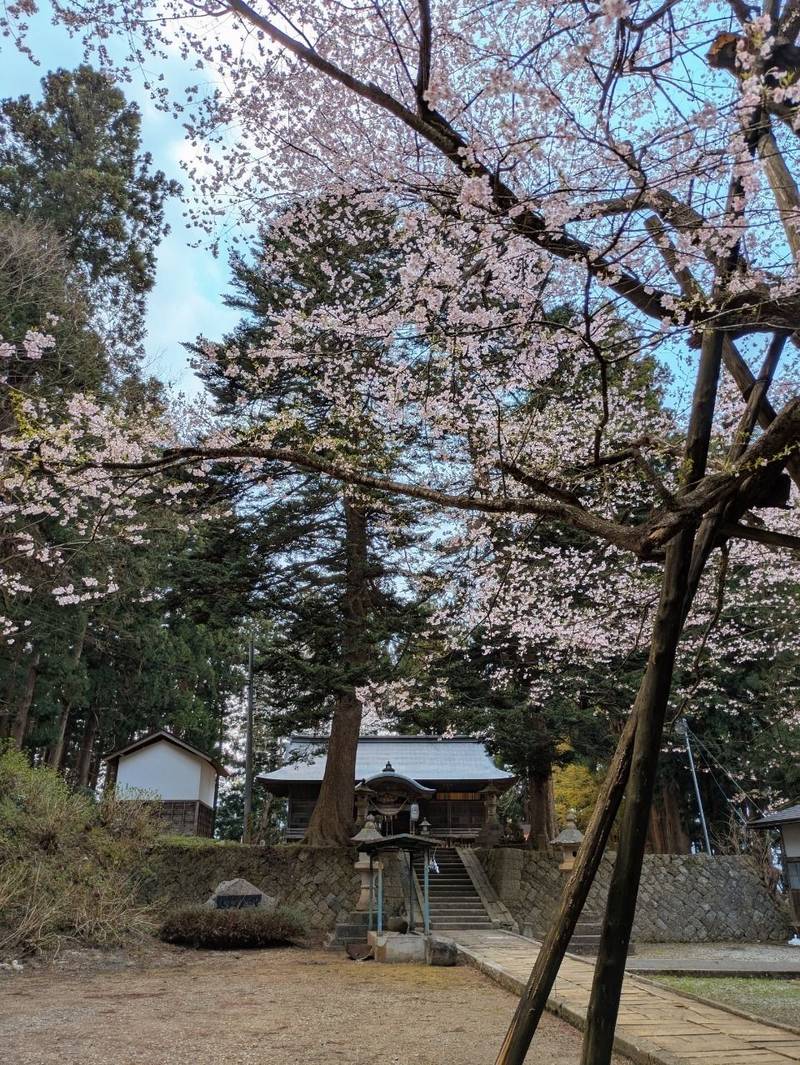 八乙女八幡神社,山形県西置賜郡白鷹町荒砥甲字楯廻1092