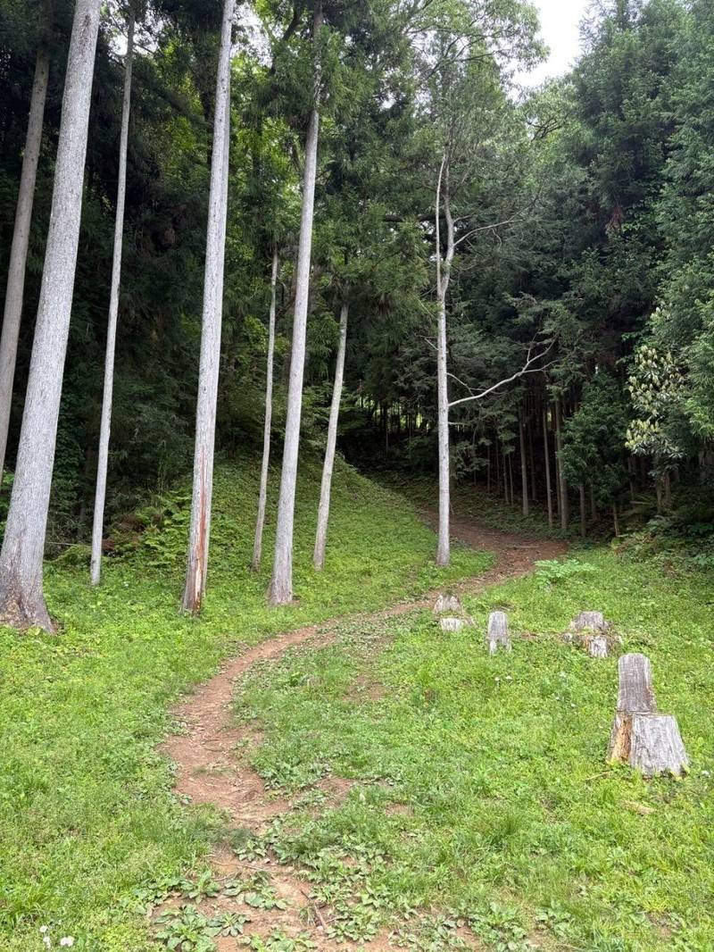宇陀松山城,奈良県宇陀市大宇陀春日・拾生・岩清水