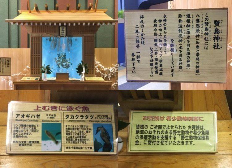 賢島神社 (志摩マリンランド内),三重県志摩市阿児町神明賢島723-1
