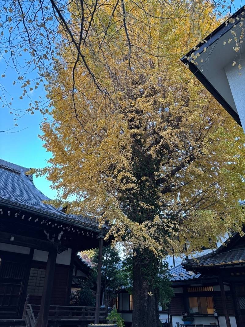 正徳寺,東京都品川区北品川２丁目９−２６