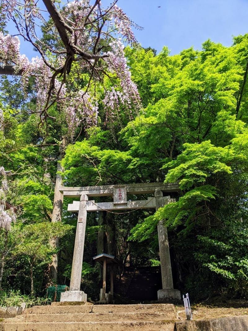 白山神社,千葉県匝瑳市木積１２１３