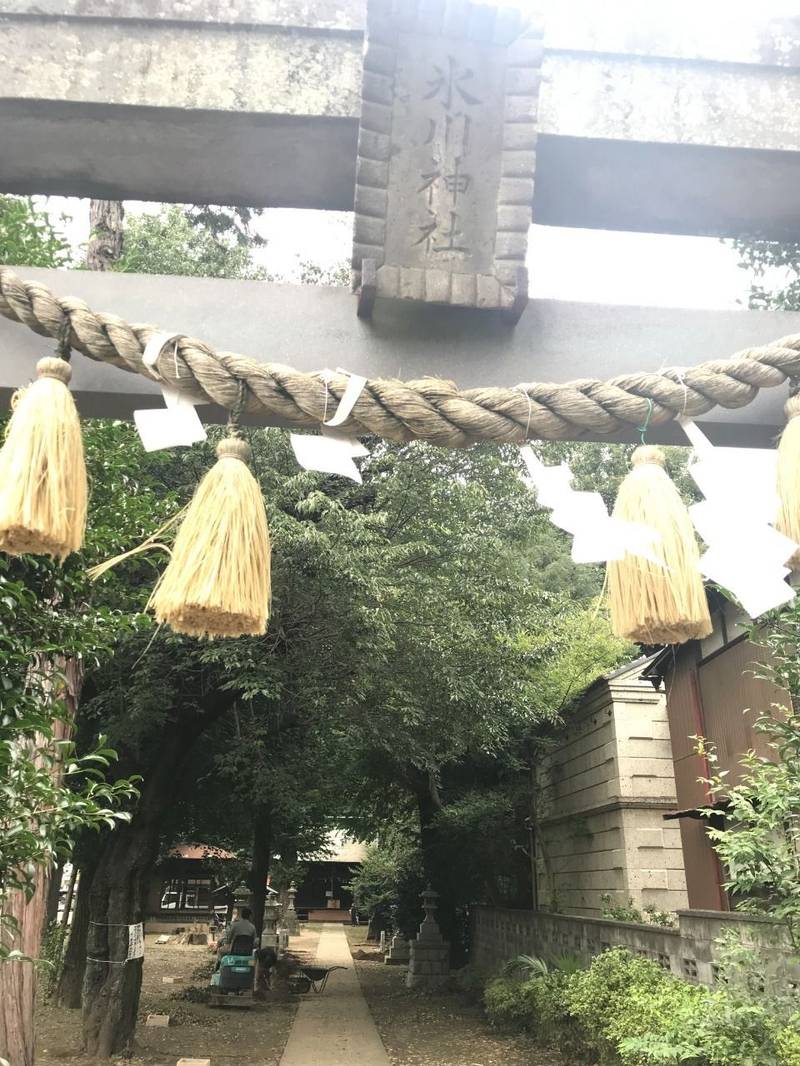 氷川神社     (富士見市)