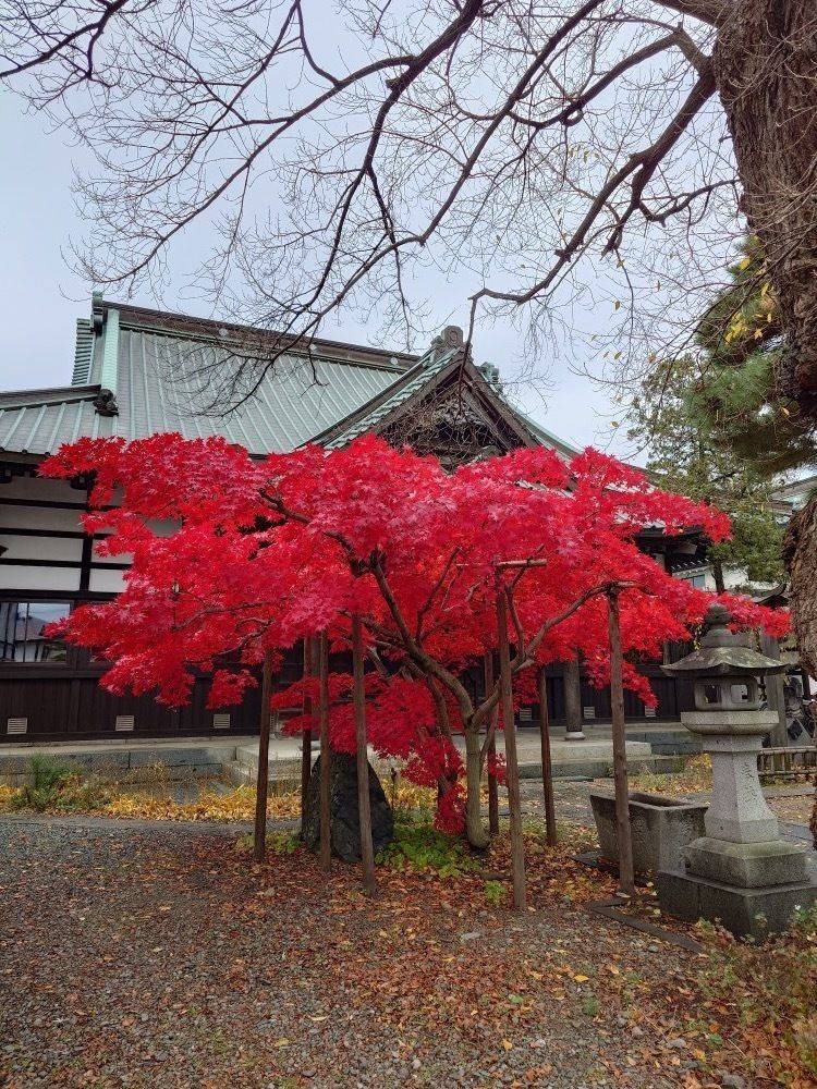 永泉寺,岩手県盛岡市大慈寺町８−２２